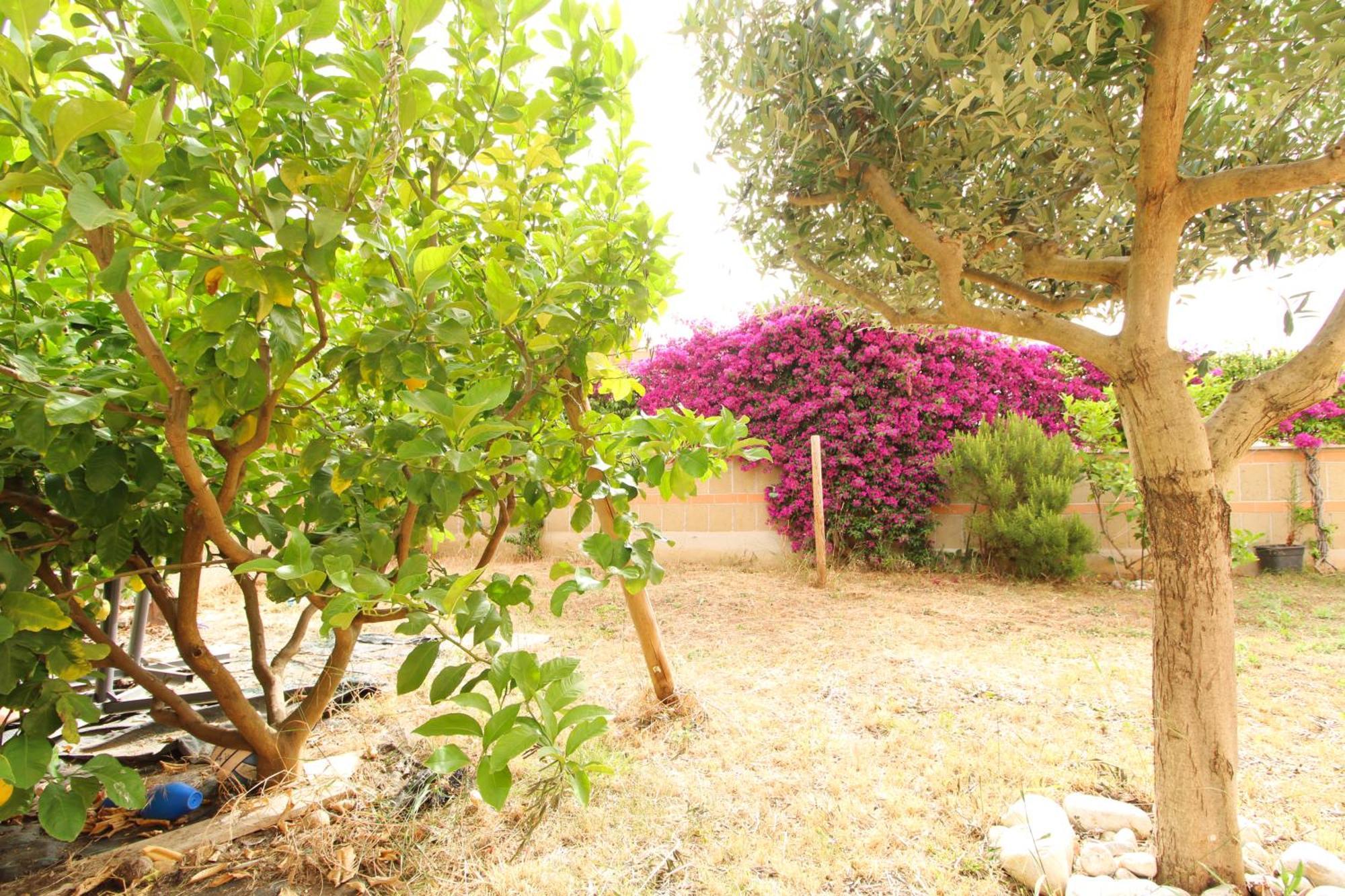 Apartment Garden Rom